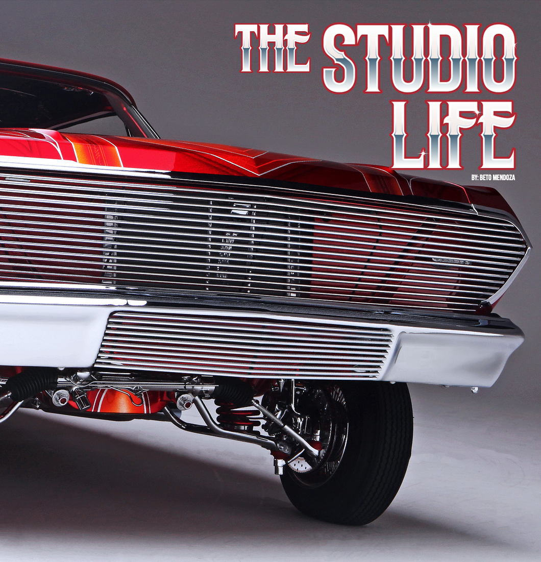 xHard Cover Book - The Studio Life